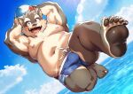  anthro bakedanooki ball beach_ball belly bulge canid canine canis clothing domestic_dog fur grey_body grey_fur hi_res inflatable lifewonders male mammal moobs moritaka navel nipples overweight pawpads scar solo swimwear tokyo_afterschool_summoners 