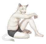  2021 anthro belly blonde_hair briefs briefs_only cettus clothed clothing domestic_cat elbow_on_knee felid feline felis fur hair hairless hairless_cat hakon_brandvold hand_on_foot looking_at_viewer male mammal nipples partially_clothed peterbald pinup pose simple_background sitting slightly_chubby slightly_chubby_anthro slightly_chubby_male solo topless underwear underwear_only white_background white_body white_fur 