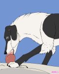  4:5 animated anthro anthro_on_feral bestiality bodily_fluids canid canine canis cum domestic_dog duo female feral genital_fluids hi_res hunting_dog male male/female mammal mechanical_monster_factory oral paws saluki short_playtime sighthound tongue whyte_(daemon_lady) 