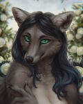  4:5 anthro black_hair black_nose blurred_background brown_body brown_claws brown_fur bust_portrait canid cheek_tuft claws facial_tuft female finger_claws flower fur glistening glistening_eyes green_eyes hair hi_res looking_at_viewer lostgoose mammal mouth_closed plant portrait pupils slit_pupils solo tuft whiskers white_flower 