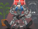  abs absurd_res anthro beastars biceps bulge canid canine canis clothed clothing detailed_bulge feet fur genital_outline hi_res legoshi_(beastars) lobo_serchwolf male mammal muscular muscular_anthro muscular_male nude paws pecs penis_outline shirtless solo wolf 