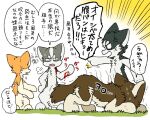  a-chan all_fours angry ayaka bite_mark blood bodily_fluids brother_(lore) brothers_(lore) brown_body brown_fur canid canine canis countershading cross-popping_vein dialogue domestic_dog female_(lore) feral fur fuuga grass grey_body grey_fur group husky hybrid japanese_text kyappy looking_at_another male_(lore) mammal nordic_sled_dog orange_body orange_fur pain plant quadruped scar semi-anthro shiba_inu shibeta siberian_husky sibling_(lore) simple_background spitz standing sweat text translated white_body white_fur wolfdog wounded 