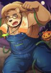  anthro bear blush brown_body brown_fur clothing eyewear farmer food fruit fur glasses hat headgear headwear hi_res jack-o&#039;-lantern m_ikky male mammal muscular muscular_anthro muscular_male nipples overalls pecs plant pumpkin solo straw_hat tentacles_on_male towel vine_tentacles volos 