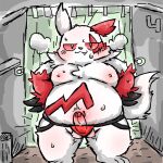  1:1 2023 anthro balls belly blush clothing detailed_background erection generation_3_pokemon genitals gyorai_sarapao hi_res inside jockstrap kemono male moobs nintendo nipples overweight overweight_male penis pokemon pokemon_(species) red_body solo underwear white_body zangoose 