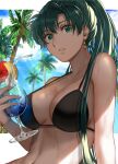  1girl bare_shoulders bikini black_bikini blue_sky cloud commentary_request cup cupping_glass day delsaber drinking_straw earrings fire_emblem fire_emblem:_the_blazing_blade food fruit green_eyes green_hair highres holding holding_cup jewelry lemon lemon_slice long_hair looking_at_viewer lyn_(fire_emblem) navel parted_lips ponytail sky solo stomach swimsuit upper_body very_long_hair 