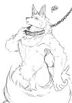  2023 5_fingers annoyed anthro arm_tuft big_tail biped black_and_white canid canine canis cheek_tuft collar collar_only collar_pull crotch_tuft digital_drawing_(artwork) digital_media_(artwork) ear_piercing elbow_tuft facial_tuft fingers fluffy front_view fur hi_res humanoid_hands inner_ear_fluff ioenami88 kemono leash leashed_collar male mammal monochrome monotone_body monotone_ears monotone_fur monotone_tail muscular muscular_anthro muscular_male naturally_censored nude piercing portrait simple_background snout solo standing tail three-quarter_portrait three-quarter_view tuft white_background white_body white_fur wolf 
