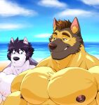  2022 after_class anthro beach beard big_pecs blue_eyes blush blush_lines brown_hair brown_nipples canid canine canis cloud domestic_dog duo facial_hair five_o&#039;clock_shadow fur german_shepherd gil_(after_class) gilbert_learnard hair herding_dog hi_res looking_at_another looking_at_partner looking_down male mammal multicolored_body multicolored_fur muscular muscular_anthro muscular_male nipples pastoral_dog pecs pink_nipples purple_body purple_fur purple_hair rujirublkdragon sea seaside shirtless smug_face titandraugen two_tone_body two_tone_fur walter_(after_class) walter_graham water white_body white_fur wolf yellow_body yellow_eyes yellow_fur 