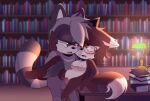  absurd_res anthro anuchasart blush breasts canid canine canis duo eyewear female glasses hi_res interspecies library male male/female mammal medium_breasts procyonid public public_sex raccoon romantic romantic_couple sega sex sonic_the_hedgehog_(series) vaginal wolf 