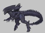  absurd_res alien alien_(franchise) biped black_body carvarior claws curvy_figure digital_media_(artwork) digitigrade eyeless female feral hi_res multi_limb open_mouth simple_background solo tail teeth thick_thighs wide_hips xenomorph xenomorph_queen 