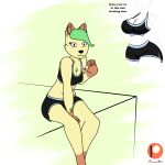  anthro black_bottomwear black_bra black_clothing black_shorts black_underwear bottomwear bra brown_body brown_fur chest_tuft clothed clothing dangling_legs draw_your_ocs_in_this_challenge eeveelution female fur generation_4_pokemon green_hair gym_bottomwear gym_clothing gym_shorts hair hi_res how-about leaf leaf_hair leafeon looking_at_viewer nintendo plant plant_hair pokemon pokemon_(species) pseudo_hair rayda_(how-about) shorts sitting skimpy smile solo sports_bra sportswear tuft underwear yellow_body yellow_fur 