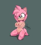  amy_rose anthro breasts crossed_arms eulipotyphlan female hedgehog hi_res kneeling mammal sega shumpy solo sonic_the_hedgehog_(series) 