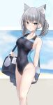  1girl absurdres animal_ear_fluff animal_ears beach black_one-piece_swimsuit blue_archive blue_eyes breasts competition_swimsuit covered_navel cross_hair_ornament extra_ears feet_out_of_frame grey_hair hair_ornament halo highres looking_at_viewer low_ponytail medium_breasts medium_hair mismatched_pupils multicolored_clothes multicolored_swimsuit official_alternate_costume one-piece_swimsuit runarunaji shiroko_(blue_archive) shiroko_(swimsuit)_(blue_archive) solo standing swimsuit wolf_ears 