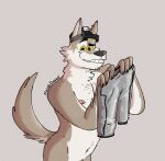  anthro body_hair bottomwear canid canine canis clothing digital_media_(artwork) epic_games fortnite grin headgear headgear_only hi_res holding_bottomwear holding_clothing holding_object looking_at_viewer male mammal nardodraws nipples nude portrait simple_background smile solo tail three-quarter_portrait undressed wendell_(fortnite) wolf yellow_sclera 