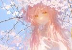  1girl absurdres blue_sky blush branch cha_xinzi cherry_blossoms choker chromatic_aberration clear_sky closed_mouth colored_eyelashes dappled_sunlight day dot_nose eyelashes floating_hair flower gloves hair_ribbon hair_strand hand_up happy highres kaname_madoka limited_palette long_hair looking_at_viewer mahou_shoujo_madoka_magica outdoors pale_color parted_bangs pink_flower pink_hair pink_theme ribbon shade sidelighting sidelocks sky smile solo spring_(season) straight_hair sunlight tareme two_side_up ultimate_madoka very_long_hair white_choker white_gloves white_ribbon white_theme yellow_eyes 