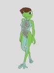  absurd_res amphibian anthro cervix claire_(pitta_the_italian) exhibitionism female frog genitals glass_frog green_body green_skin hi_res nipples nude organs ovaries pitta_the_italian pussy solo translucent translucent_body uterus 