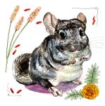  ambiguous_gender chinchilla chinchillid feral flower goat-soap hi_res mammal plant rodent solo traditional_media_(artwork) 