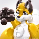  canid canine chest_tuft elysianelly fox glistening gloves_(marking) half-length_portrait hi_res inflatable latex looking_at_viewer mammal markings pawpads pool_toy pooltoy_transformation portrait seam_(sewing) simple_background solo transformation tuft white_background 