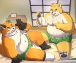  2023 anthro belly big_belly bulge canid canine canis clothing detailed_background domestic_dog duo fox hi_res humanoid_hands inside iyo_(tamacolle) kemono kemonuo male mammal moobs musashi_(tamacolle) navel nipples one_eye_closed orange_body overweight overweight_male sitting tamacolle underwear wink 