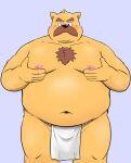  2023 anthro asian_clothing belly big_belly blush bullbluedog canid canine canis clothing domestic_dog east_asian_clothing facial_hair fundoshi hi_res japanese_clothing kemono male mammal moobs mustache navel nipples overweight overweight_male solo underwear white_clothing white_fundoshi white_underwear 