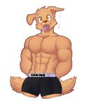  :3 absurd_res anthro bird_dog bodily_fluids boxer_briefs boxer_briefs_only bulge canid canine canis clothed clothing domestic_dog drooling floppy_ears golden_retriever happy hi_res hunting_dog leoguardianz male mammal muscular muscular_male no_thoughts retriever saliva solo tail tail_motion tailwag tight_clothing tight_underwear tongue tongue_out topless underwear underwear_only yellow_eyes 