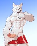  2023 4:5 abs anthro balls bottomwear canid canine clothed clothing genitals hi_res jrjresq lifeguard looking_at_viewer male mammal muscular muscular_anthro muscular_male partially_clothed penis shorts shorts_down shorts_only simple_background smile smiling_at_viewer solo 