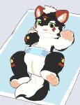 ambiguous_gender anthro baby_bottle clean_diaper clothed clothing diaper fluffy fluffy_tail kemono lytimow_(artist) pawpads paws solo tail wearing_diaper young 