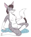  bandicoot barely_visible_genitalia bilby breasts brown_hair female fur genitals grey_body grey_fur hair mammal marsupial pouch_(anatomy) tabbiewolf 