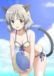  1girl animal_ears bikini blush breasts cat_ears cat_tail cleavage green_eyes guchiaki highres looking_at_viewer navel ocean open_mouth outdoors sanya_v._litvyak short_hair side-tie_bikini_bottom sky small_breasts smile solo strike_witches striped striped_bikini swimsuit tail volleyball white_hair world_witches_series 