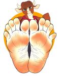  2023 2_horns 5_toes 6o6chitpos anthro arizona_cow_(tfh) barefoot bovid bovine brown_body brown_fur brown_hair cattle clothing digital_drawing_(artwork) digital_media_(artwork) feet female foot_fetish foot_focus fur green_eyes hair hereford_cattle hi_res horn humanoid_feet kerchief looking_at_viewer mammal nails neckerchief plantigrade red_kerchief red_neckerchief simple_background sitting smile soles solo them&#039;s_fightin&#039;_herds toenails toes white_background 