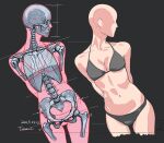  1girl anatomy arms_behind_back artist_name bald bald_girl black_bra black_panties bra cowboy_shot dark_background dated english_commentary facing_away grey_background highres mixed-language_commentary original panties simple_background skeleton solo tatami_(loop) teeth underwear x-ray_vision 