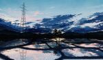  bird blue_sky cloud commentary_request evening gensuke_(ryun) highres nature no_humans original outdoors power_lines reflection rice_paddy scenery sky transmission_tower tree 