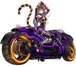  1girl anonymous_(yu-gi-oh!) biker_clothes bikesuit black_bodysuit bodysuit breasts brown_eyes brown_hair cat_mask cleavage duel_monster full_body gloves highres i:p_masquerena large_breasts long_hair looking_at_viewer mask motor_vehicle motorcycle official_art on_motorcycle purple_gloves racing_suit sidelocks skin_tight smile solo tail third-party_source tight_clothes transparent_background twintails yu-gi-oh! yu-gi-oh!_master_duel 