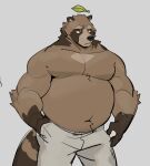  2023 anthro belly big_belly bottomwear brown_body canid canine clothing cyanroll humanoid_hands male mammal musclegut navel overweight overweight_male pants raccoon_dog simple_background solo tanuki 