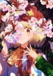  1girl animal_on_head bird bird_on_head blonde_hair cherry_blossoms cover cover_page flower highres kajatony multicolored_hair niwatari_kutaka on_head pink_flower red_eyes smile solo touhou two-tone_hair 