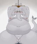  2023 anthro balls belly big_belly blush bound dragon_night800 elephant elephantid eyewear flaccid genitals glasses grey_body hi_res kemono male mammal moobs navel nipples overweight overweight_male penis proboscidean solo 