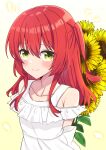  1girl absurdres ao_(flowerclasse) arms_behind_back bare_shoulders bocchi_the_rock! brown_background closed_mouth collarbone commentary_request dress flower hair_between_eyes highres kita_ikuyo long_hair looking_at_viewer one_side_up petals red_hair smile solo sunflower white_dress yellow_eyes yellow_flower 