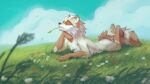  2023 anthro artist_name brown_body brown_fur cloud day detailed_background digital_media_(artwork) eyes_closed fewiesh flower fur gloves_(marking) grass hi_res lying male mammal markings nude on_front outside plant procyonid raccoon relaxing signature sky solo white_body white_fur 