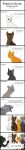  2014 absurd_res aliasing ambiguous_gender angry ashfur_(warriors) black_nose black_text black_whiskers blue_eyes bluekyokitty bramblestar_(warriors) brown_body brown_fur brown_nose character_name comic dialogue digital_drawing_(artwork) digital_media_(artwork) domestic_cat ears_back english_text eyes_closed felid feline felis female_(lore) feral flat_colors fur gesture green_eyes grey_body grey_fur grey_nose group half_moon_(warriors) hi_res long_image male_(lore) mammal open_mouth orange_body orange_eyes orange_fur persian_cat pink_nose pink_tongue pivoted_ears pointing pointy_speech_bubble sebdoggo simple_background solo speech_bubble squirrelflight_(warriors) startled stormfur_(warriors) tabby_cat tall_image teeth text thrushpelt_(warriors) tongue warriors_(cats) whiskers white_background white_body white_fur yelling yellow_eyes yellowfang_(warriors) 