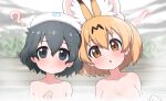  ! 2girls :o ? animal_ear_fluff animal_ears black_eyes black_hair blonde_hair blurry blurry_background blush breasts brown_eyes collarbone extra_ears hair_between_eyes hand_on_own_chest japari_symbol kaban_(kemono_friends) kemono_friends looking_at_viewer medium_breasts multiple_girls nude onsen open_mouth parted_lips partially_submerged ransusan serval_(kemono_friends) towel towel_on_head upper_body water 