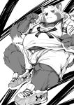  2023 absurd_res ailurid anthro asakura_kento belly big_belly bottomwear clothing hi_res hoodie humanoid_hands kemono male mammal overweight overweight_male red_panda shirt shorts solo topwear 