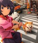  2girls ambulance animal black_hair black_skirt blush breasts car collared_shirt crosswalk dog flower frown german_text hair_ornament hairclip hanekawa_tsubasa highres holding khyle. large_breasts leash looking_at_viewer monogatari_(series) motor_vehicle multiple_girls outdoors pants pink_shirt pleated_skirt print_shirt purple_eyes red_shirt shiba_inu shirt short_hair short_sleeves skirt sunflower translated two-tone_shirt 