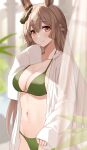  1girl asato_(fadeless) bikini blush braid breasts brown_eyes brown_hair cleavage closed_mouth collarbone commentary_request french_braid green_bikini half_updo hand_up highres horse_girl large_breasts long_hair long_sleeves looking_at_viewer multicolored_hair navel open_clothes open_shirt satono_diamond_(umamusume) shirt sleeves_past_wrists smile solo standing streaked_hair swimsuit umamusume white_shirt 