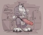  anthro balls big_balls big_feet big_penis canid canine canis claws clothing container cup feet fur genitals grey_body grey_fur hi_res huge_balls huge_penis humanoid_genitalia humanoid_penis kitchen long_penis looking_at_viewer male mammal muscular muscular_anthro muscular_male narrowed_eyes paws pecs penis solo toe_claws underwear vexyvoo wolf 