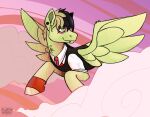  clothing equid equine feral fluffybardo flying friendship_is_magic hasbro hi_res horse mammal my_little_pony pegasus piercing pony wings 