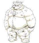 2023 anthro bear belly big_belly bottomwear clothing hi_res kemono male mammal moobs nipples overweight overweight_male pants simple_background solo suishou0602 white_background 