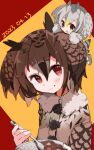  2girls bird_tail brown_eyes coat commentary curry dated eating eurasian_eagle_owl_(kemono_friends) food food_on_face fur_collar grey_hair hair_between_eyes head_wings highres holding holding_plate kemono_friends mini_person minigirl multicolored_hair multiple_girls nanana_(nanana_iz) northern_white-faced_owl_(kemono_friends) plate puppy-paw_hash_brown_(genshin_impact) red_eyes simple_background spoon tail upper_body wings 