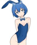  1girl animal_ears arms_behind_back blue_eyes blue_hair cat_ears closed_mouth highres non-web_source original phoenix007 playboy_bunny rabbit_ears self-upload simple_background solo standing white_background 
