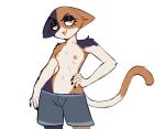  anthro bedroom_eyes berrythedragon boxers_(clothing) breasts clothed clothing epic_games felid feline female fortnite hi_res mammal meow_skulls_(fortnite) narrowed_eyes seductive skinny small_breasts solo tomboy topless topless_female underwear 