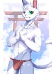  2023 absurd_res anthro bulge clothed clothing featureless_crotch felid feline fur green_eyes hi_res ivan-jhang japanese_architecture looking_at_viewer male mammal red_clothing red_underwear smile solo topless topless_anthro underwear white_body white_fur 