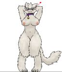  &lt;3 &lt;3_eyes anthro blush cat_tail collar collar_bell collar_only confident domestic_cat eyewear felid feline felis female fluffy fluffy_ears glasses glistening hands_behind_head hi_res kiwu mammal mature_female nipples nude pose sasha(kiwu) slightly_chubby smile smirk smirking_at_viewer solo teal_eyes thick_thighs wide_hips 